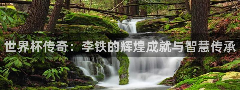免费看足球直播比赛:世界杯传奇:李铁的辉煌成就与智慧传承