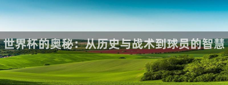 世界杯决赛圈球队:世界杯的奥秘:从历史与战术到球员的智慧