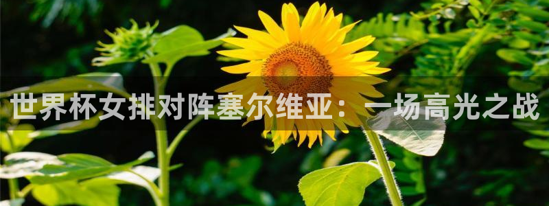 2026世界杯官网:世界杯女排对阵塞尔维亚:一场高光之战