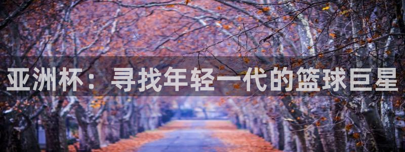 世界杯球赛:亚洲杯:寻找年轻一代的篮球巨星