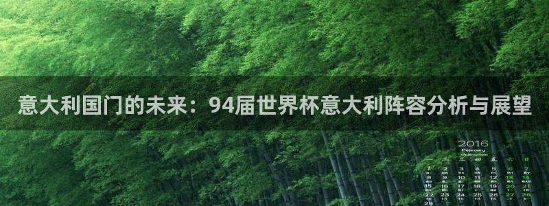 2026世界杯日期:意大利国门的未来:94届世界杯意大利阵容分析与展望